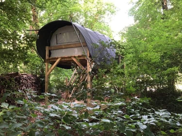 Camping Le Canada-Insolite Chiny Kültér fotó