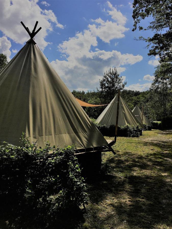 Camping Le Canada-Insolite Chiny Kültér fotó